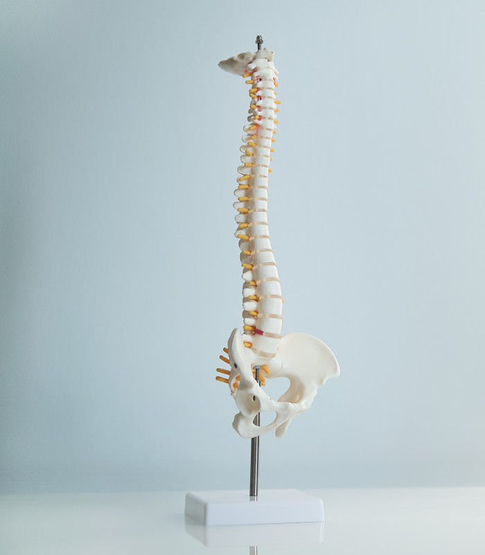 Intervertebral hernia of the cervical spine, rupture of the fibrous ring. Arthrose Knie